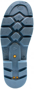 neu8