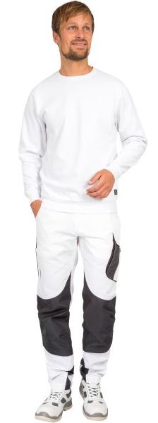 LWSR04_DYNH34_M1