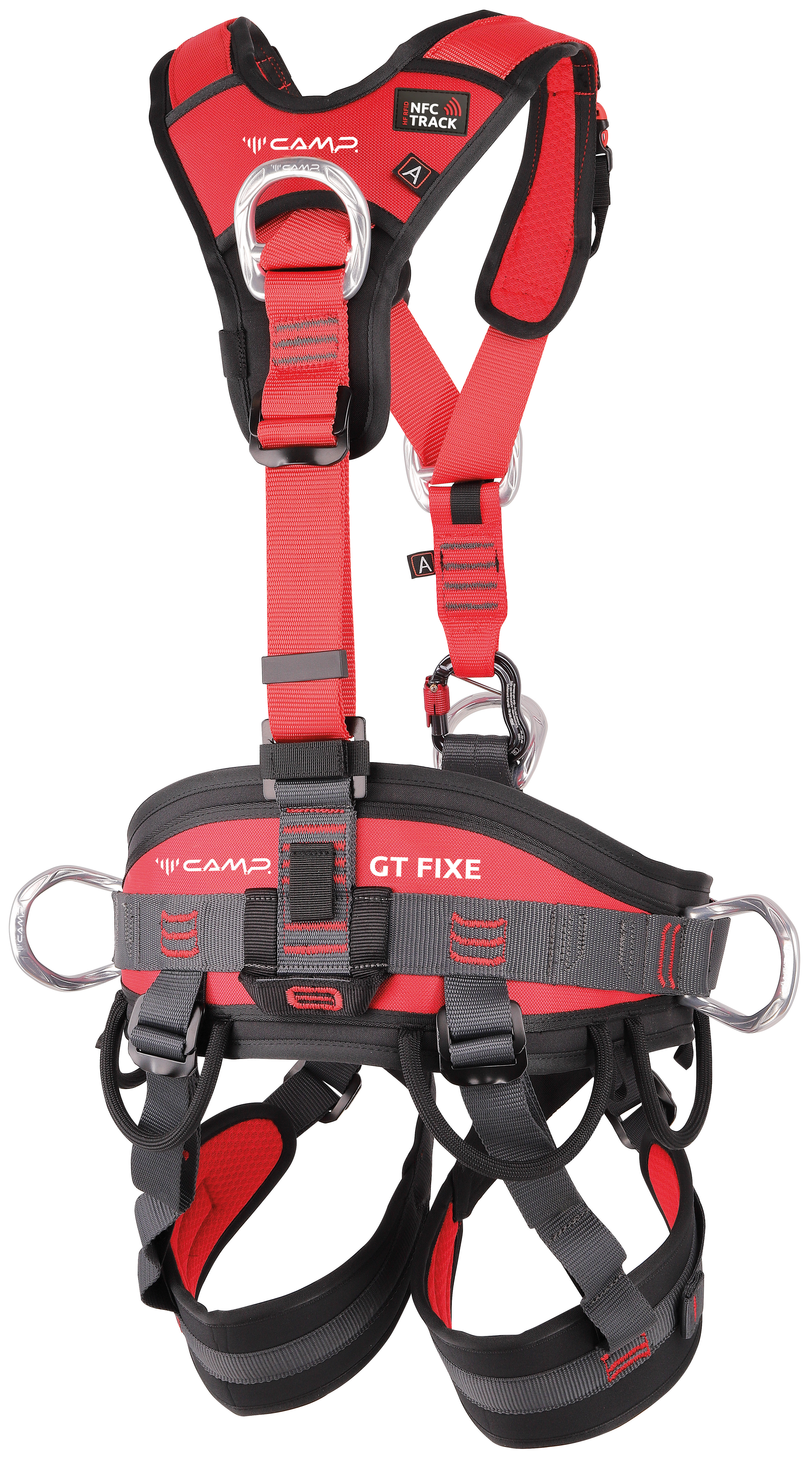 3689_1-219302-1_BACK