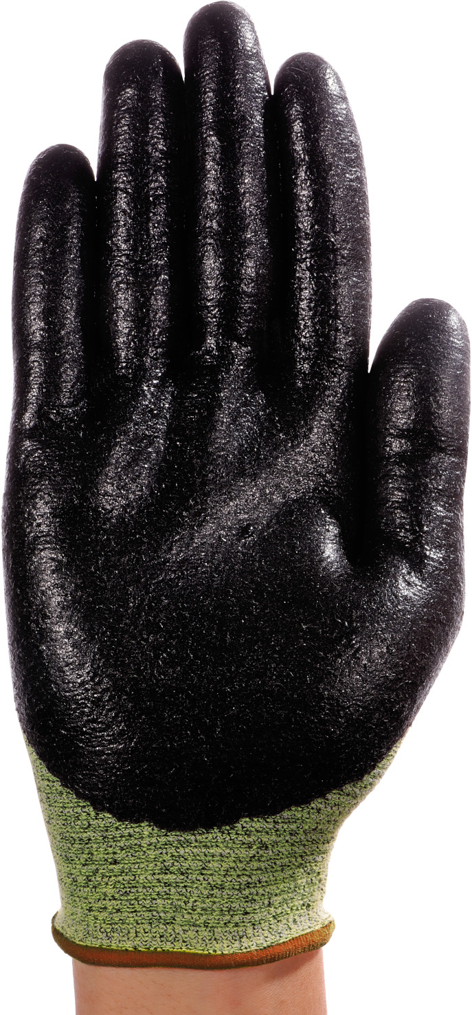 11-550_Back-V1