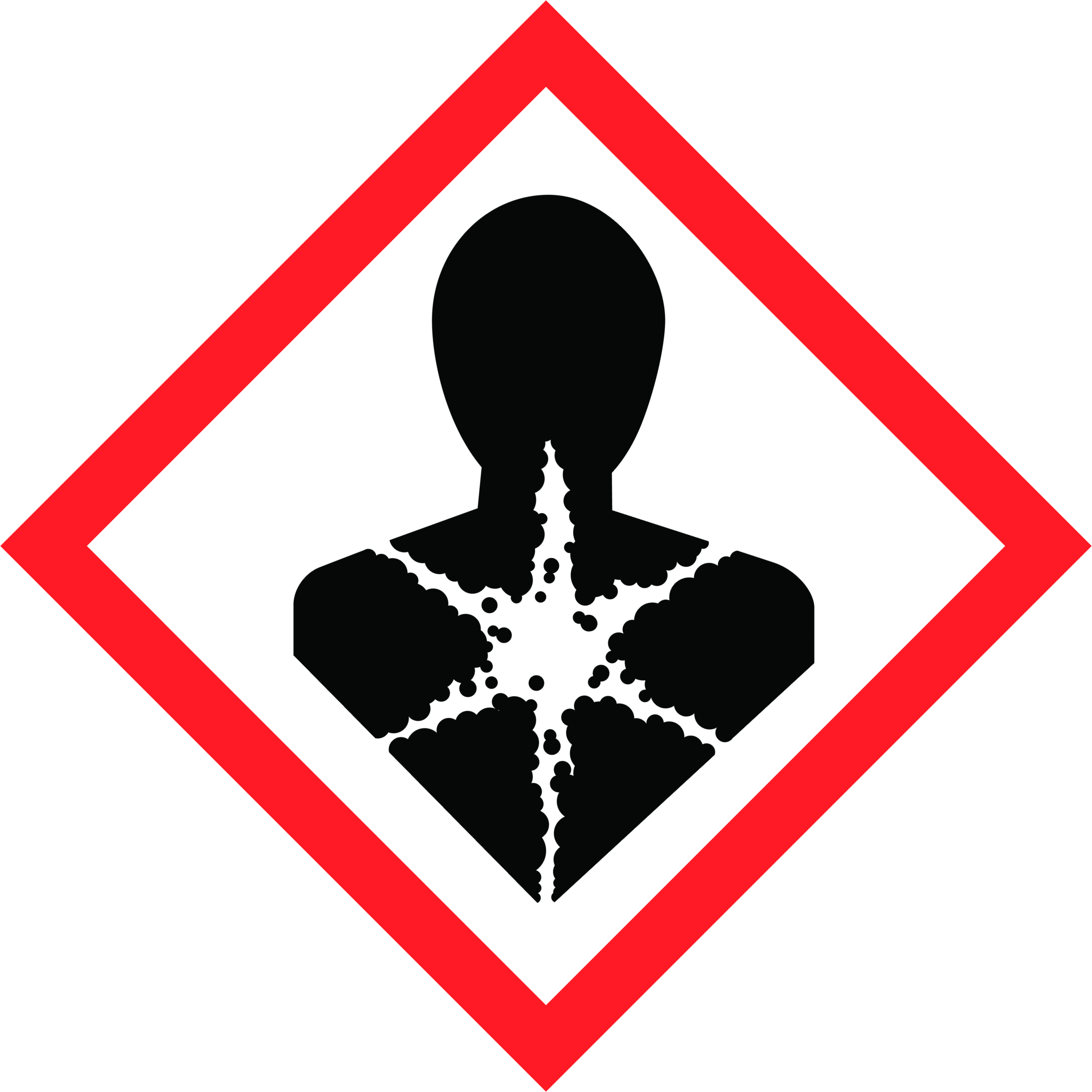 ghs08_silhoueteuP4Ew2KJvSLDa