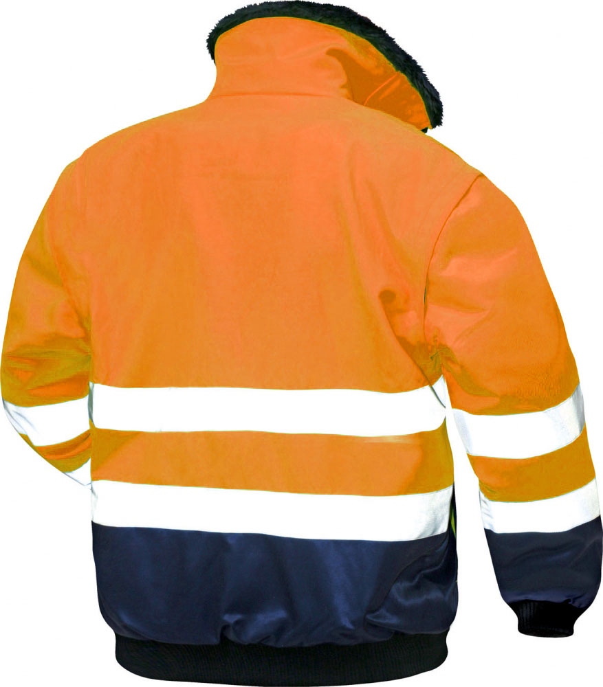 23649_back