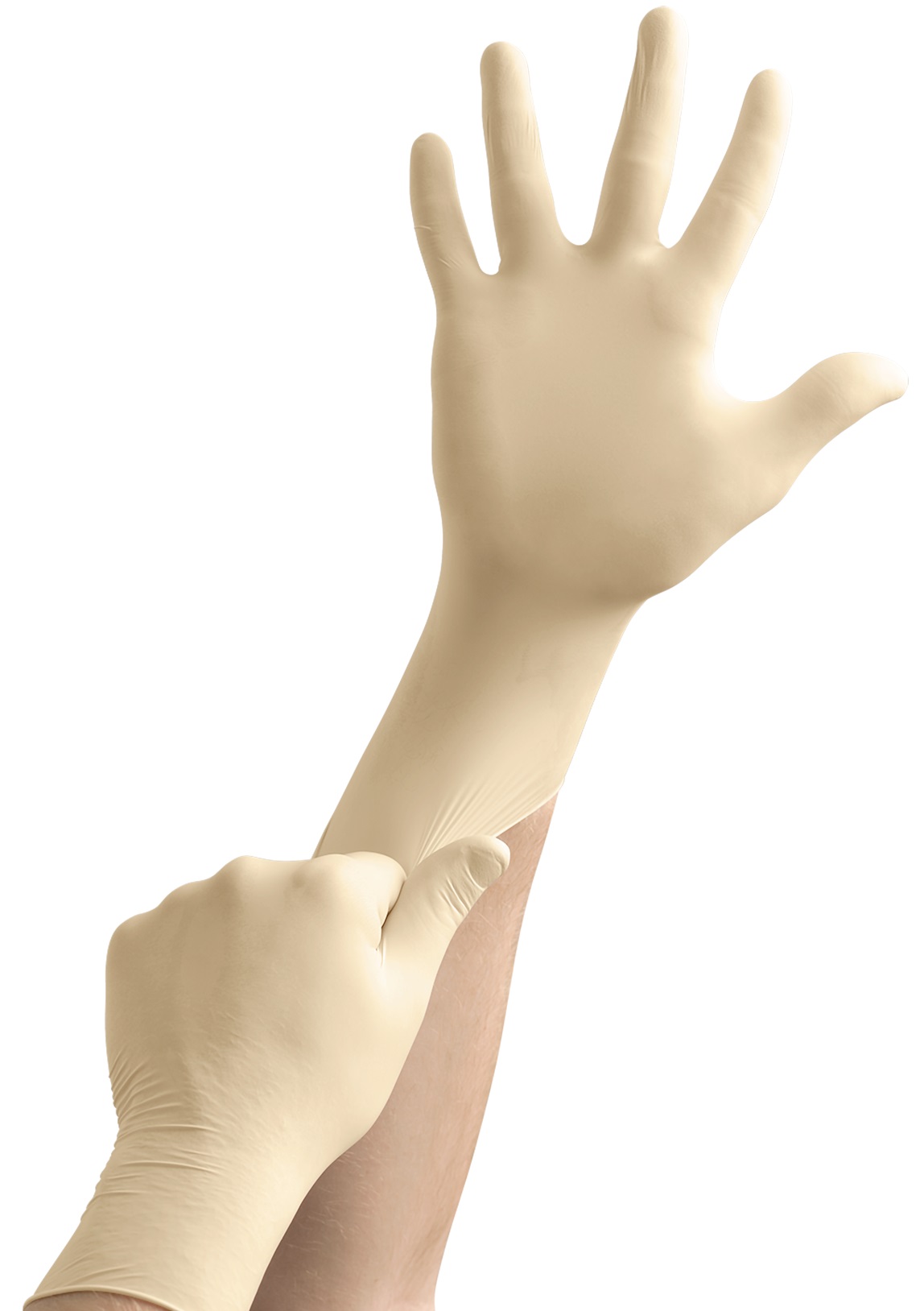 Microflex_63-864_GloveStretch Ansell Microflex 63-864 Latex-Einweg-Schutzhandschuhe