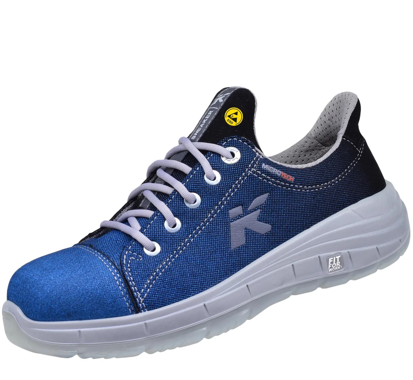 HKS10