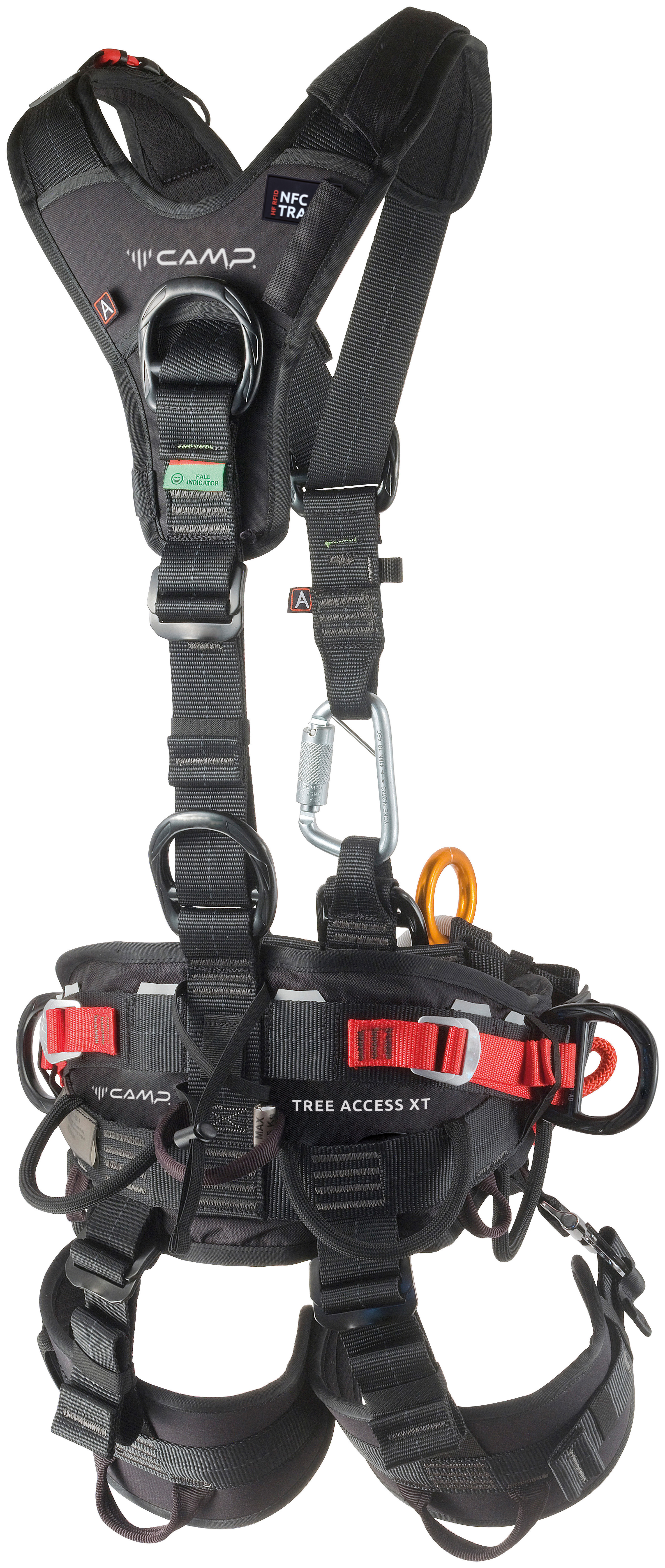 3325_1-3124-1_BACK