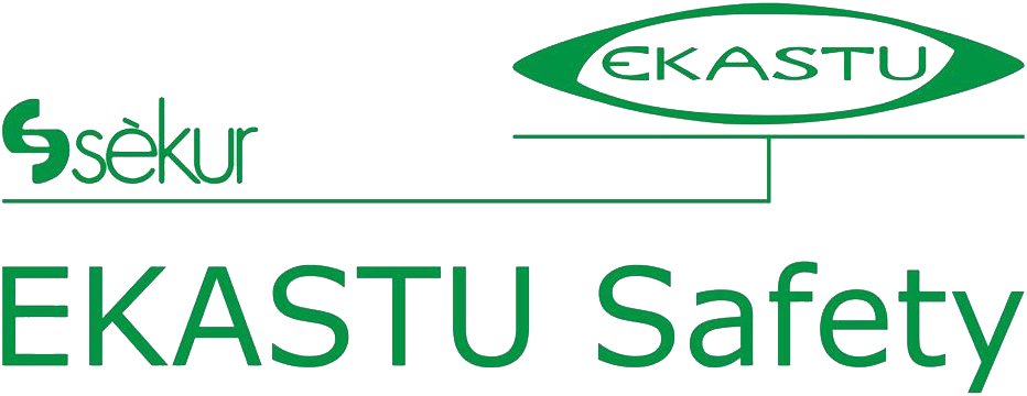 EKASTUSafetyLogo Ekastu Strahlerschutzhelm P4