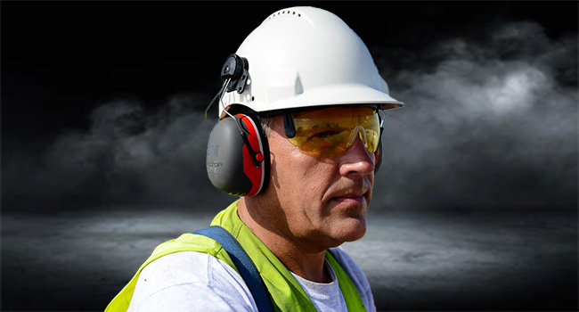 head and ear protection