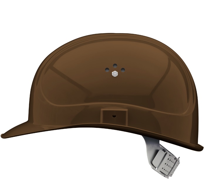 fawn brown